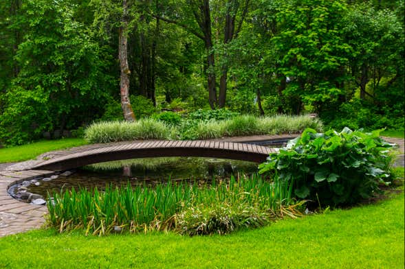 Godafoss Waterfall & Akureyri Botanical Gardens Tour