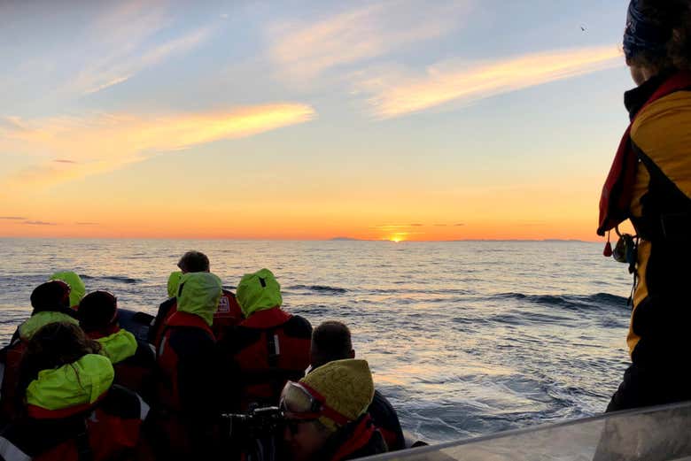 Boat trip under the midnight sun