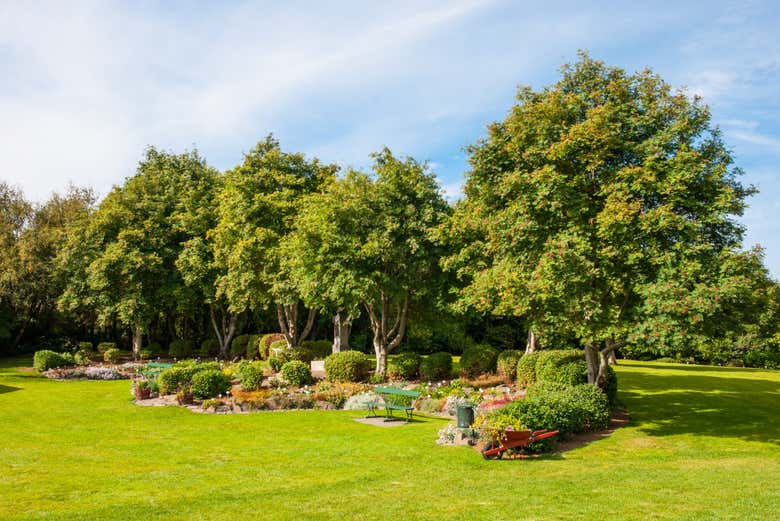 Akureyri Botanical Garden