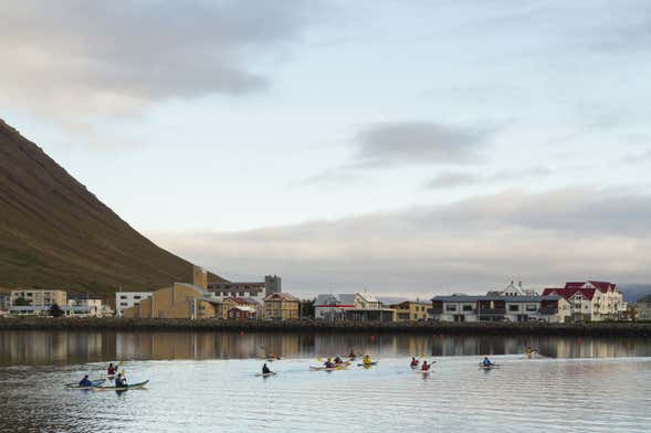 Isafjordur Kayak Tour