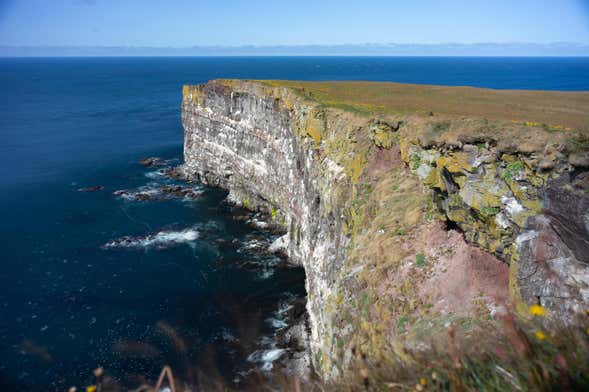 Látrabjarg & Raudasandur Jeep Tour